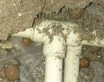 殷都测漏水多少钱