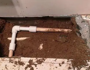 殷都测漏水哪家好